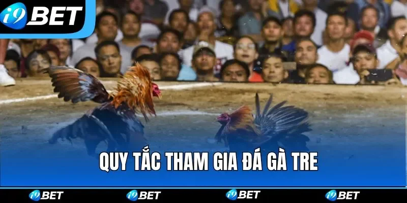 Quy tắc bất di bất dịch khi tham gia đá gà tre Quy tắc bất di bất dịch khi tham gia đá gà tre