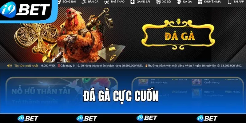 Đá gà cực cuốn với tỷ lệ thưởng cao