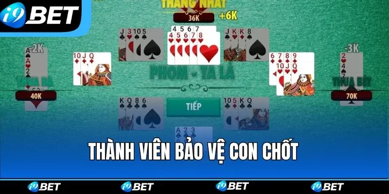 Thành viên bảo vệ con chốt Thành viên bảo vệ con chốt